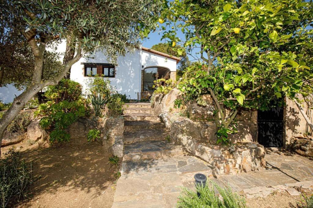Villa Boheme Costa Brava Калондж Екстериор снимка