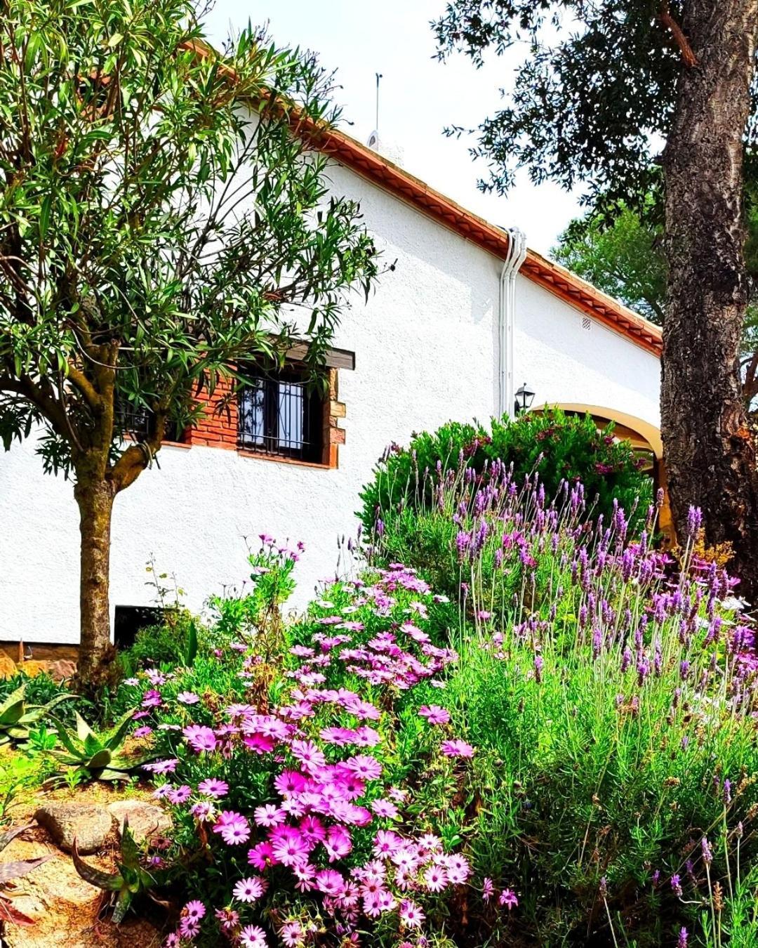 Villa Boheme Costa Brava Калондж Екстериор снимка